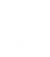 Group 1000008763